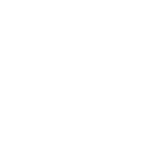 Customized Solutions